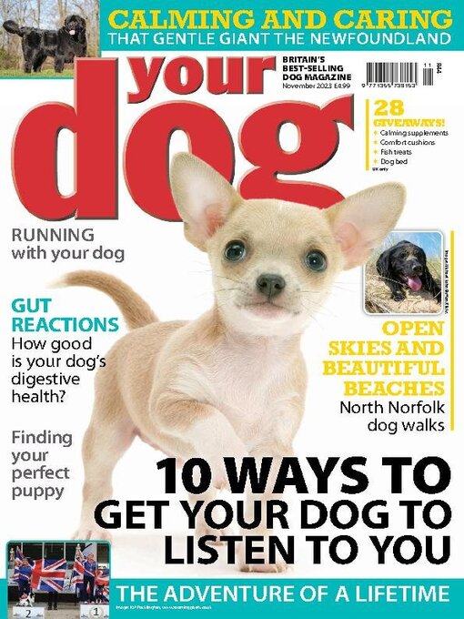 Title details for Your Dog by Warners Group Publications Plc - Available